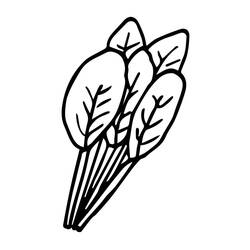 Disegno da colorare: Spinaci (Cibo e Nutrizione) #187661 - Pagine da Colorare Stampabili Gratuite