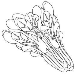 Disegno da colorare: Spinaci (Cibo e Nutrizione) #187663 - Pagine da Colorare Stampabili Gratuite
