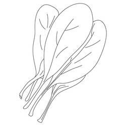 Disegno da colorare: Spinaci (Cibo e Nutrizione) #187670 - Pagine da Colorare Stampabili Gratuite