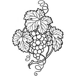 Disegno da colorare: Uva (Cibo e Nutrizione) #212406 - Pagine da Colorare Stampabili Gratuite