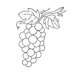 Disegno da colorare: Uva (Cibo e Nutrizione) #212411 - Pagine da Colorare Stampabili Gratuite