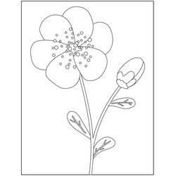 Disegno da colorare: Fiori Colora con i Numeri (Colora con i Numeri) #177986 - Pagine da Colorare Stampabili Gratuite
