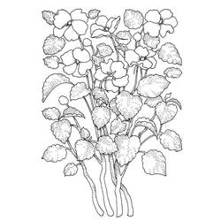 Disegni da colorare: Fiore Adulto - Pagine da Colorare Stampabili Gratuite