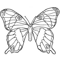 Disegno da colorare: Mandala farfalla (Mandala) #117396 - Pagine da Colorare Stampabili Gratuite