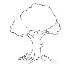 Disegno da colorare: Albero (Natura e Stagioni) #154667 - Pagine da Colorare Stampabili Gratuite