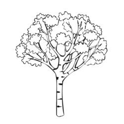 Disegno da colorare: Albero (Natura e Stagioni) #154671 - Pagine da Colorare Stampabili Gratuite