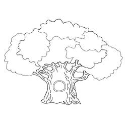 Disegno da colorare: Albero (Natura e Stagioni) #154688 - Pagine da Colorare Stampabili Gratuite