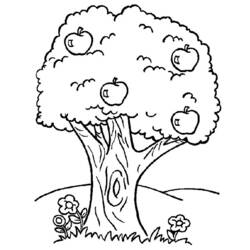 Disegno da colorare: Albero (Natura e Stagioni) #154702 - Pagine da Colorare Stampabili Gratuite