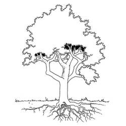 Disegno da colorare: Albero (Natura e Stagioni) #154704 - Pagine da Colorare Stampabili Gratuite