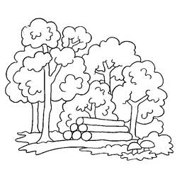 Disegno da colorare: Albero (Natura e Stagioni) #154706 - Pagine da Colorare Stampabili Gratuite