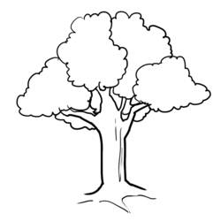 Disegno da colorare: Albero (Natura e Stagioni) #154722 - Pagine da Colorare Stampabili Gratuite