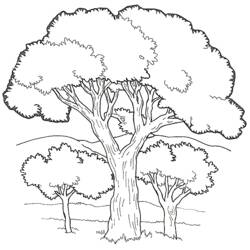 Disegno da colorare: Albero (Natura e Stagioni) #154733 - Pagine da Colorare Stampabili Gratuite
