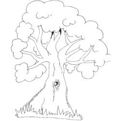 Disegno da colorare: Albero (Natura e Stagioni) #154736 - Pagine da Colorare Stampabili Gratuite