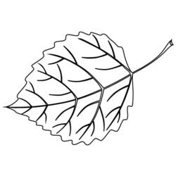 Disegno da colorare: Albero (Natura e Stagioni) #154753 - Pagine da Colorare Stampabili Gratuite