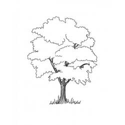 Disegno da colorare: Albero (Natura e Stagioni) #154760 - Pagine da Colorare Stampabili Gratuite