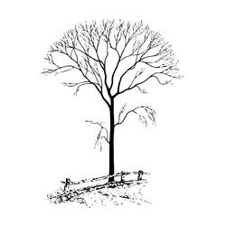 Disegno da colorare: Albero (Natura e Stagioni) #154769 - Pagine da Colorare Stampabili Gratuite
