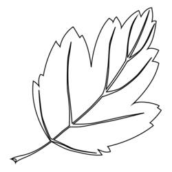 Disegno da colorare: Albero (Natura e Stagioni) #154773 - Pagine da Colorare Stampabili Gratuite