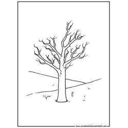 Disegno da colorare: Albero (Natura e Stagioni) #154777 - Pagine da Colorare Stampabili Gratuite