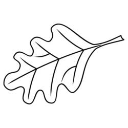 Disegno da colorare: Albero (Natura e Stagioni) #154808 - Pagine da Colorare Stampabili Gratuite
