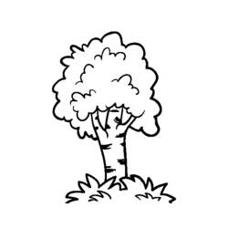 Disegno da colorare: Albero (Natura e Stagioni) #154819 - Pagine da Colorare Stampabili Gratuite