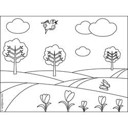 Disegno da colorare: Albero (Natura e Stagioni) #154849 - Pagine da Colorare Stampabili Gratuite