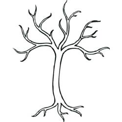 Disegno da colorare: Albero (Natura e Stagioni) #154882 - Pagine da Colorare Stampabili Gratuite