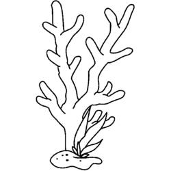 Disegni da colorare: Corallo - Pagine da Colorare Stampabili Gratuite