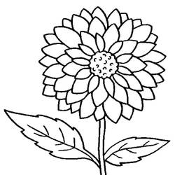Disegni da colorare: Dalia - Pagine da Colorare Stampabili Gratuite