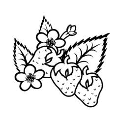 Disegno da colorare: Estate (Natura e Stagioni) #165116 - Pagine da Colorare Stampabili Gratuite