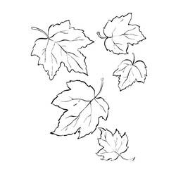 Disegni da colorare: Foglia d'Acero - Pagine da Colorare Stampabili Gratuite
