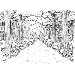 Disegni da colorare: Foresta - Pagine da Colorare Stampabili Gratuite