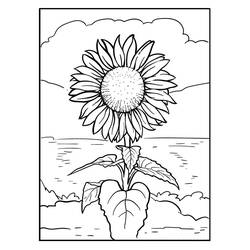 Disegni da colorare: Girasole - Pagine da Colorare Stampabili Gratuite