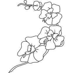 Disegni da colorare: Orchidea - Pagine da Colorare Stampabili Gratuite