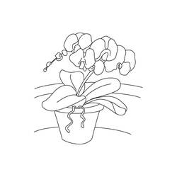 Disegno da colorare: Orchidea (Natura e Stagioni) #176364 - Pagine da Colorare Stampabili Gratuite