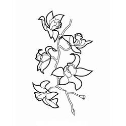 Disegno da colorare: Orchidea (Natura e Stagioni) #176375 - Pagine da Colorare Stampabili Gratuite