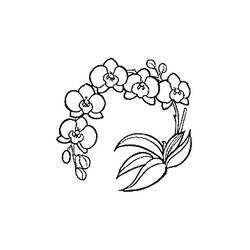 Disegno da colorare: Orchidea (Natura e Stagioni) #176380 - Pagine da Colorare Stampabili Gratuite