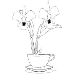 Disegno da colorare: Orchidea (Natura e Stagioni) #176384 - Pagine da Colorare Stampabili Gratuite