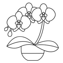 Disegno da colorare: Orchidea (Natura e Stagioni) #176388 - Pagine da Colorare Stampabili Gratuite