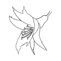 Disegno da colorare: Orchidea (Natura e Stagioni) #176389 - Pagine da Colorare Stampabili Gratuite