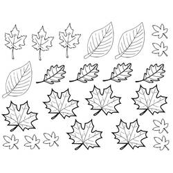 Disegno da colorare: Stagione Autunnale (Natura e Stagioni) #176756 - Pagine da Colorare Stampabili Gratuite