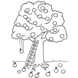 Disegno da colorare: ALBERO (Natura) #154718 - Pagine da Colorare Stampabili Gratuite