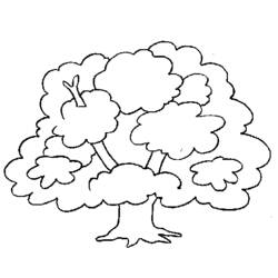 Disegno da colorare: ALBERO (Natura) #154730 - Pagine da Colorare Stampabili Gratuite