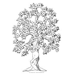 Disegno da colorare: ALBERO (Natura) #154739 - Pagine da Colorare Stampabili Gratuite