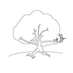 Disegno da colorare: ALBERO (Natura) #154774 - Pagine da Colorare Stampabili Gratuite