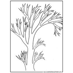 Disegno da colorare: ALBERO (Natura) #154788 - Pagine da Colorare Stampabili Gratuite