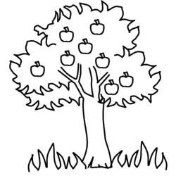 Disegno da colorare: ALBERO (Natura) #154799 - Pagine da Colorare Stampabili Gratuite