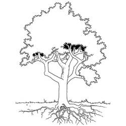 Disegno da colorare: ALBERO (Natura) #154887 - Pagine da Colorare Stampabili Gratuite