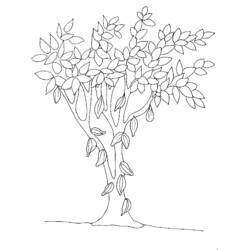 Disegno da colorare: ALBERO (Natura) #154928 - Pagine da Colorare Stampabili Gratuite