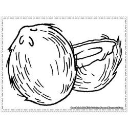 Disegno da colorare: Albero di cocco (Natura) #162368 - Pagine da Colorare Stampabili Gratuite