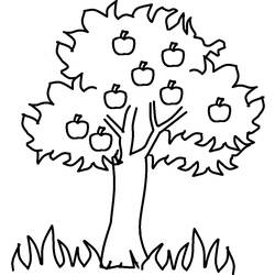 Disegno da colorare: albero di mele (Natura) #163738 - Pagine da Colorare Stampabili Gratuite